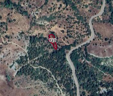 BURSA ORHANELİ ÇEKİ MAH. 1.850M² BAHÇE SATILIKTIR - BURSA ORHANELİ fotoğraf 5